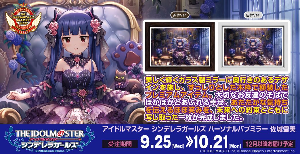 シンデレラ】高級感ただようインテリア「パーソナルパブミラー