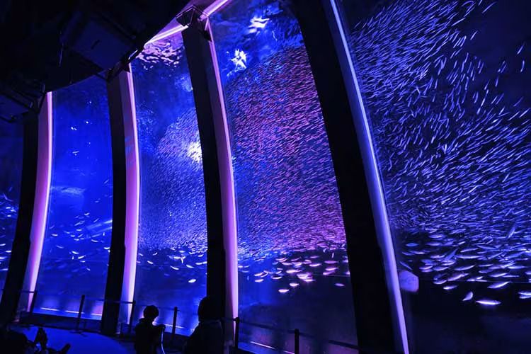 学マス】学園アイドルマスター×横浜・八景島シーパラダイス『初星