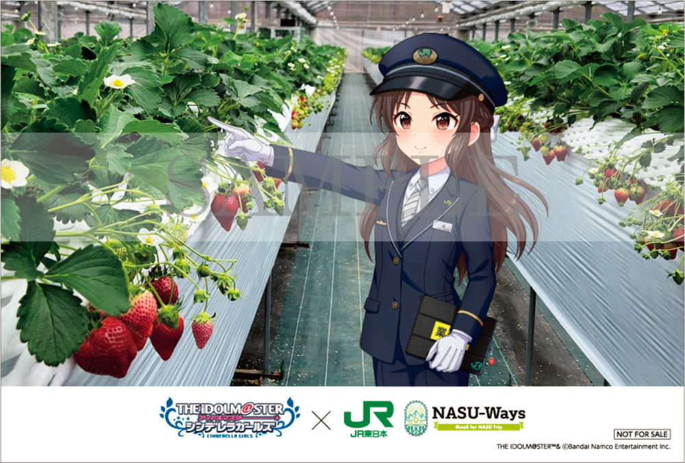 シンデレラ】#deremaas@NASU-Ways！｢アイドルマスター シンデレラ