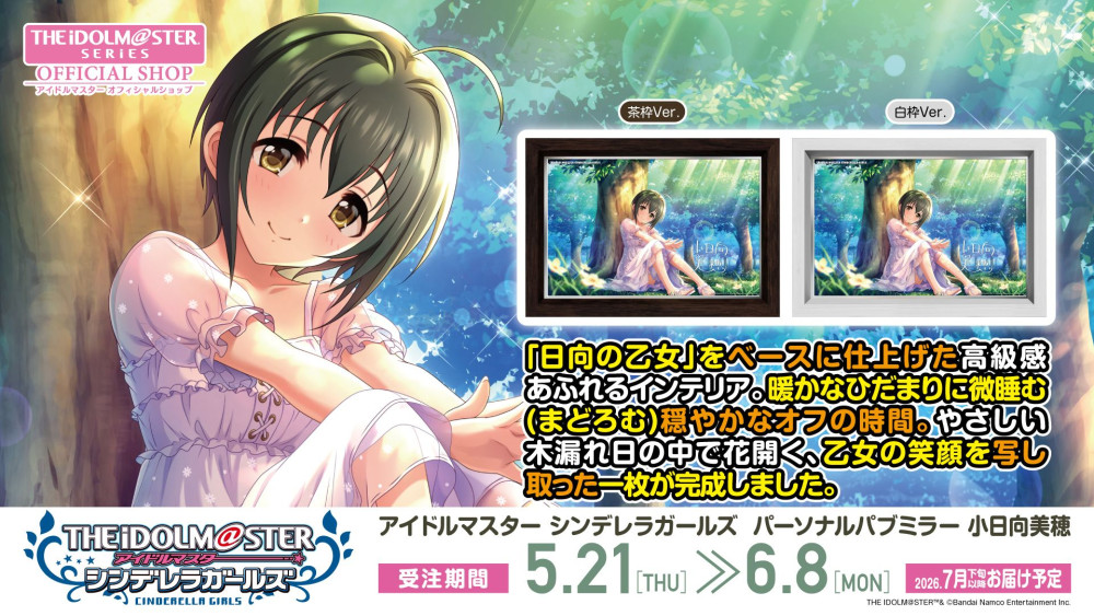 シンデレラ】高級感ただようインテリア「パーソナルパブミラー