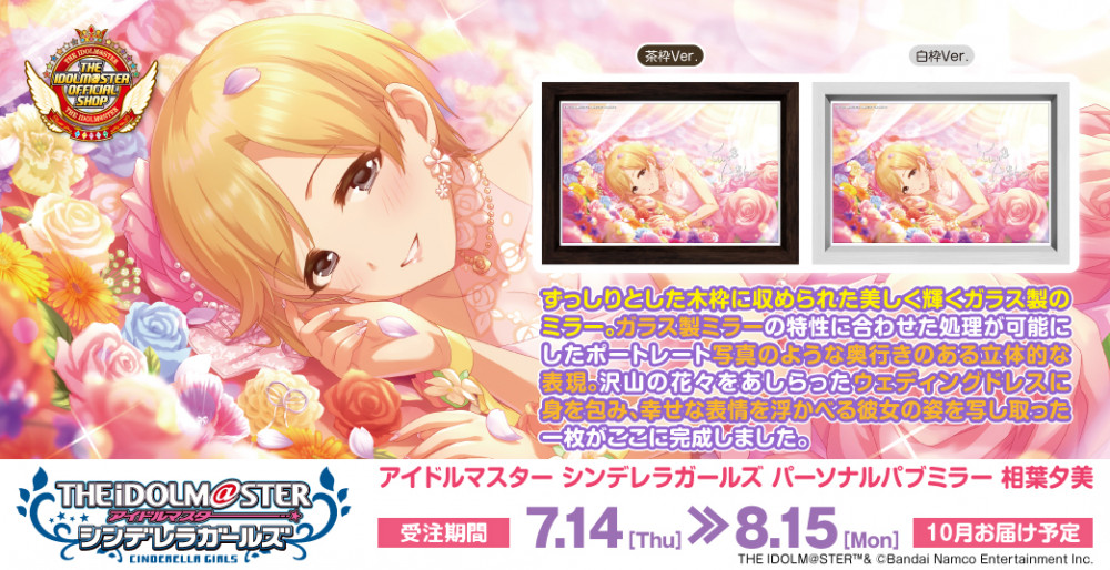 シンデレラ】高級感ただようインテリア、「パーソナルパブミラー 