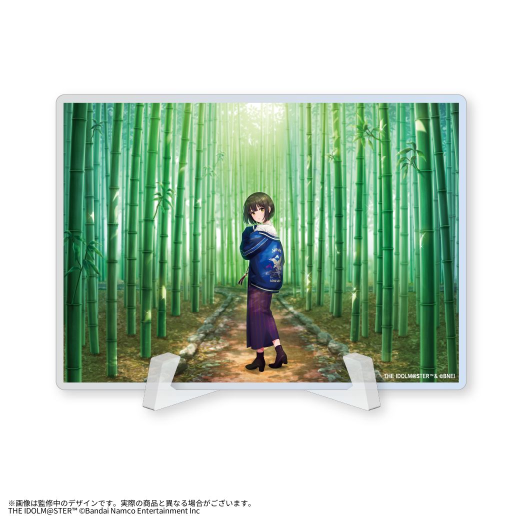 シンデレラ】KAKO TAKAFUJI×YOKOSUKA コラボレーションアイテムを発売